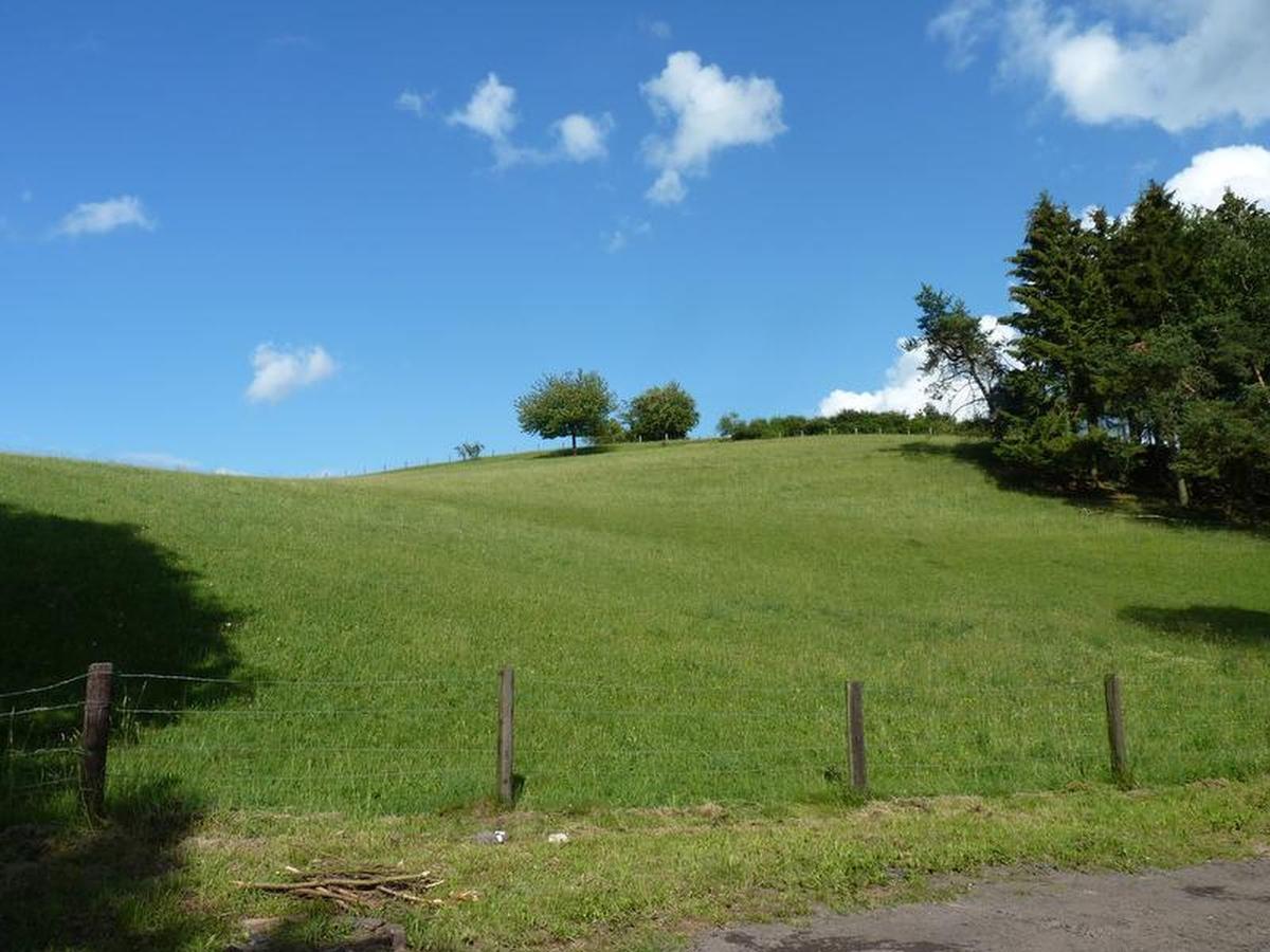 Suedeifel Ferienhaeuser Christian Faust Villa Zweifelscheid Luaran gambar